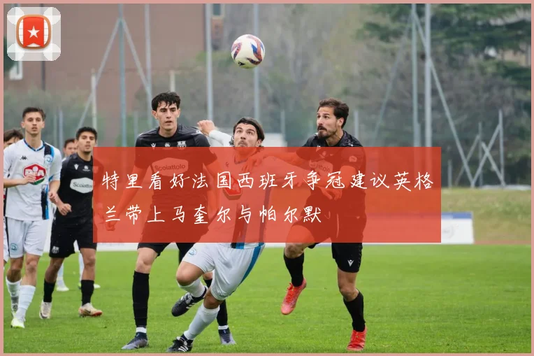 特里看好法国西班牙争冠建议英格兰带上马奎尔与帕尔默