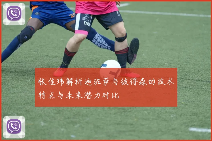 张佳玮解析迪班萨与彼得森的技术特点与未来潜力对比